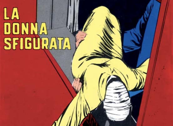 La donna sfigurata