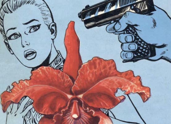 Orchidea rossa